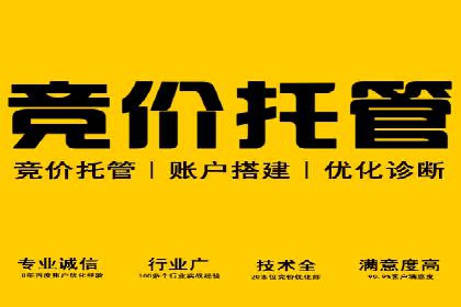 行业领先企业的sem竞价策略：成功案例剖析